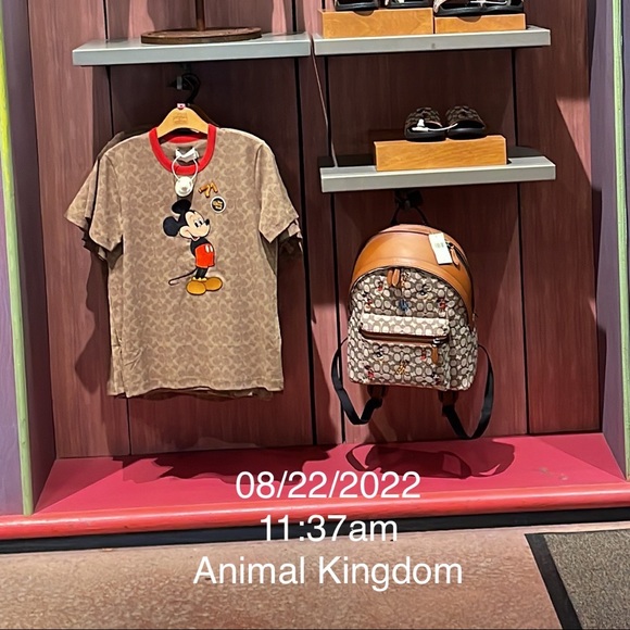 Coach x Disney 50 year Anniversary Bookbag - Picture 16 of 16